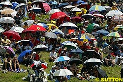 Final News from the Paddock - Malaysian GP